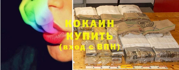 индика Наволоки