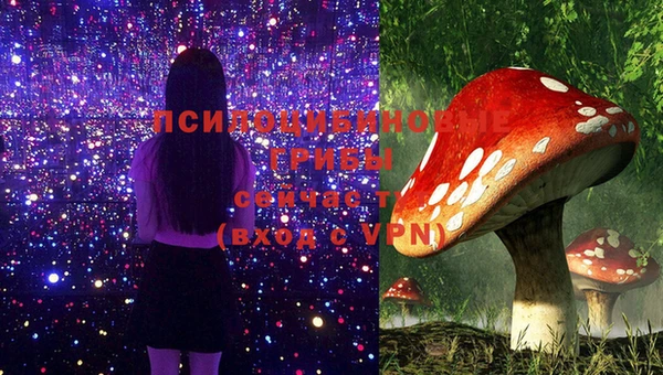 ПСИЛОЦИБИНОВЫЕ ГРИБЫ Надым
