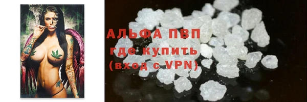 индика Наволоки