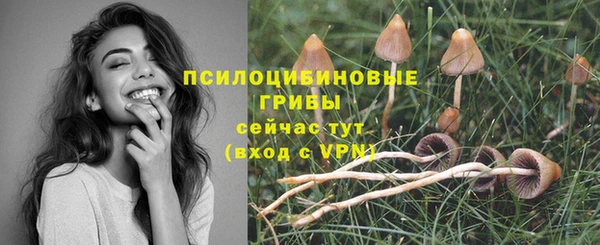 индика Наволоки