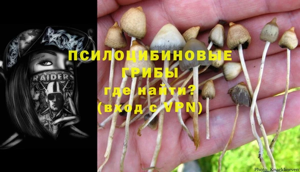 ПСИЛОЦИБИНОВЫЕ ГРИБЫ Надым