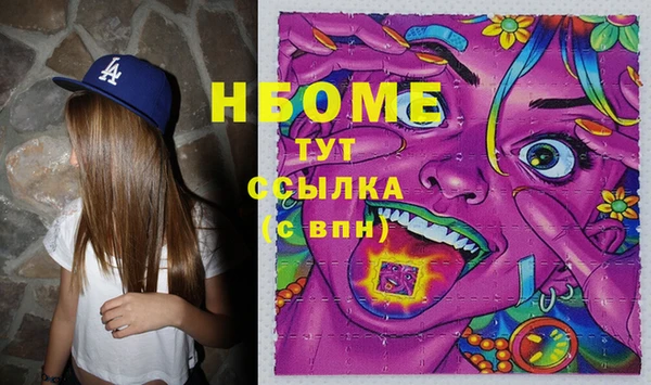 индика Наволоки