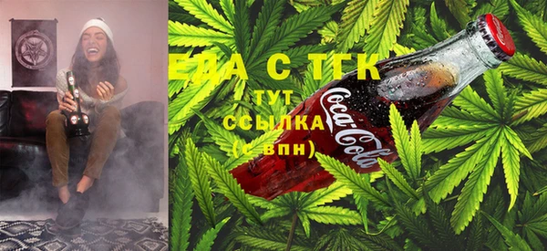 индика Наволоки