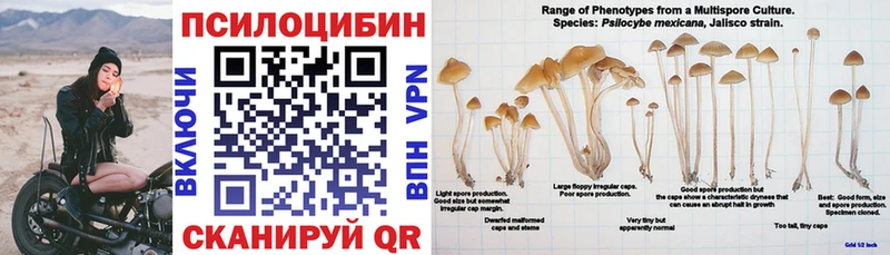 Купить  Остров  Галлюциногенные грибы GOLDEN TEACHER 